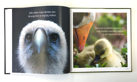 Stresskippen en andere bange vogels