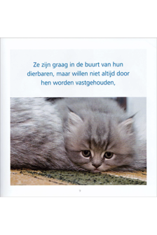 Alle katten hebben Asperger