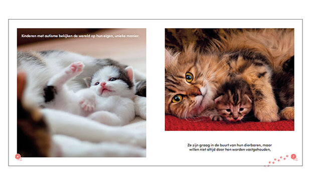 Alle katten hebben autisme - pagina 6 en 7